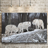 Three Wolf Print Gray Color Landscape Canvas Prints Wall Art Home Decor - Painting Canvas, Ready to hang